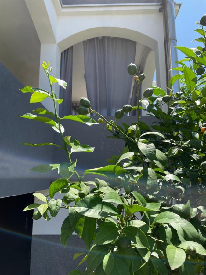 Mare Apartamento Zadar Exterior foto